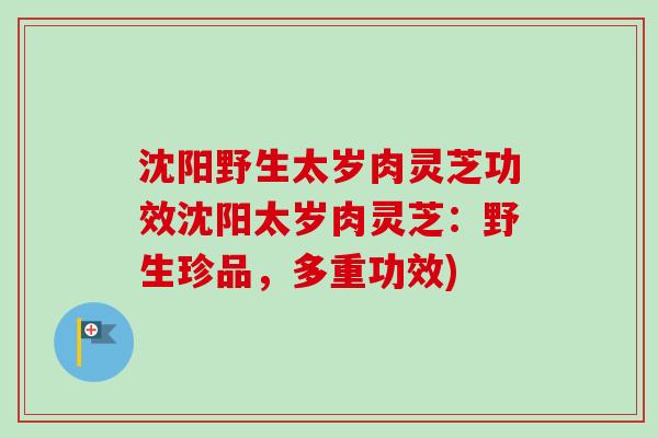 沈阳野生太岁肉灵芝功效沈阳太岁肉灵芝:野生珍品,多重功效) 沈阳野生太岁肉灵芝功效沈阳太岁肉灵芝:野生珍品,多重功效)
