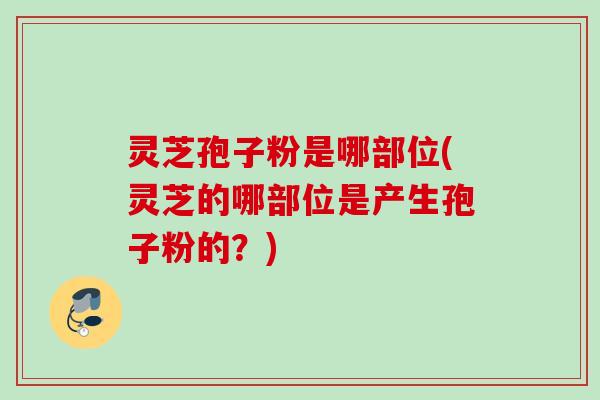 灵芝孢子粉是哪部位(灵芝的哪部位是产生孢子粉的？)