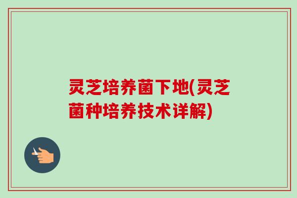 灵芝培养菌下地(灵芝菌种培养技术详解)