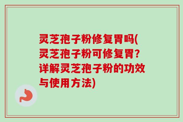 灵芝孢子粉修复胃吗(灵芝孢子粉可修复胃？详解灵芝孢子粉的功效与使用方法)