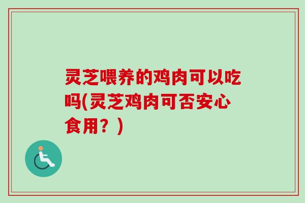 灵芝喂养的鸡肉可以吃吗(灵芝鸡肉可否安心食用？)