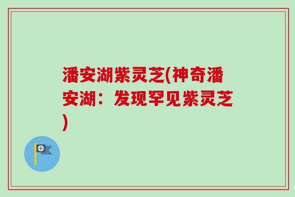 潘安湖紫灵芝(神奇潘安湖：发现罕见紫灵芝)