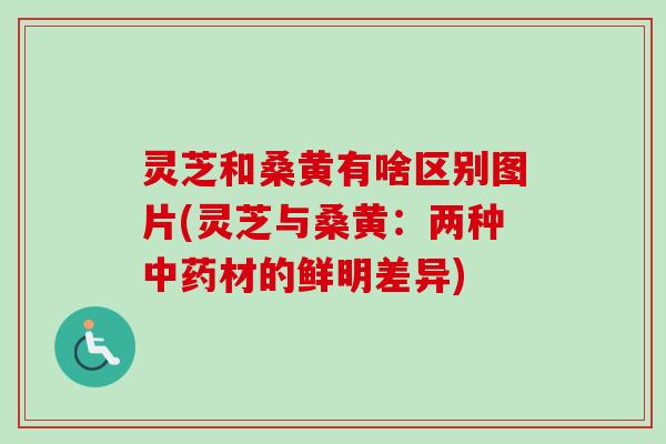 灵芝和桑黄有啥区别图片(灵芝与桑黄:两种材的鲜明差异) 灵芝和桑黄有啥区别图片(灵芝与桑黄:两种材的鲜明差异)