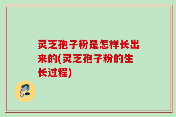 灵芝孢子粉是怎样长出来的(灵芝孢子粉的生长过程) 灵芝孢子粉是怎样长出来的(灵芝孢子粉的生长过程)