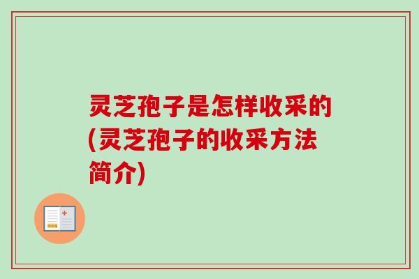 灵芝孢子是怎样收采的(灵芝孢子的收采方法简介) 灵芝孢子是怎样收采的(灵芝孢子的收采方法简介)