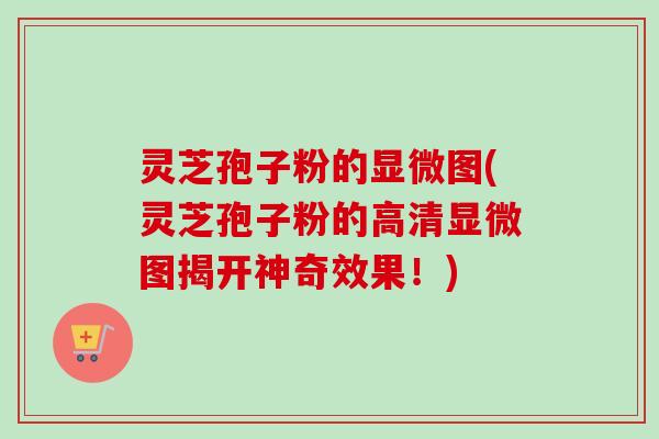 灵芝孢子粉的显微图(灵芝孢子粉的高清显微图揭开神奇效果！)
