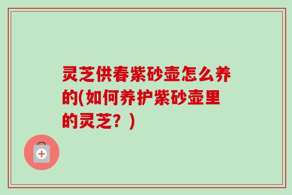 灵芝供春紫砂壶怎么养的(如何养护紫砂壶里的灵芝？)