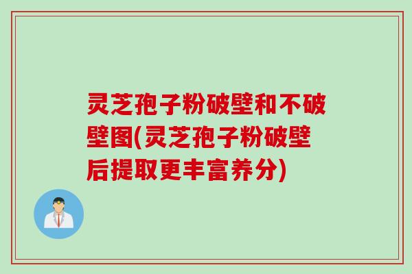 灵芝孢子粉破壁和不破壁图(灵芝孢子粉破壁后提取更丰富养分) 灵芝孢子粉破壁和不破壁图(灵芝孢子粉破壁后提取更丰富养分)