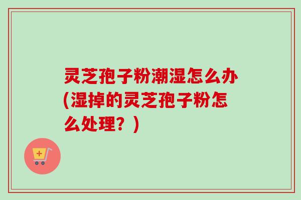 灵芝孢子粉潮湿怎么办(湿掉的灵芝孢子粉怎么处理？)