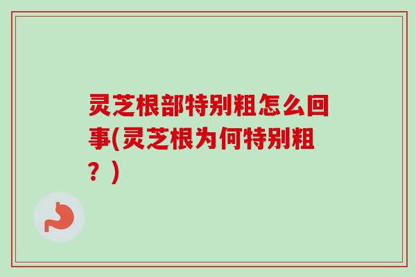 灵芝根部特别粗怎么回事(灵芝根为何特别粗？)
