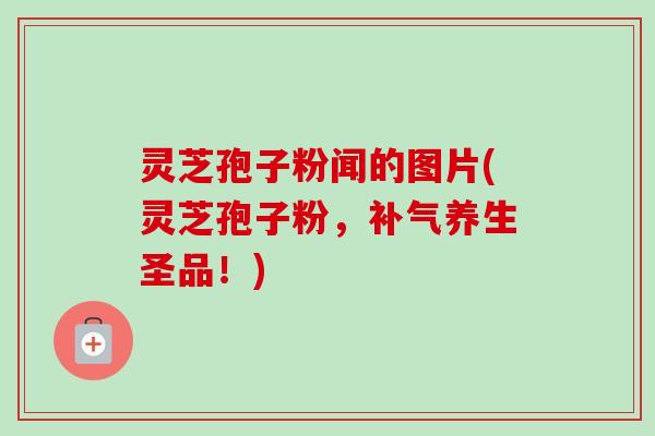 灵芝孢子粉闻的图片(灵芝孢子粉，补气养生圣品！)