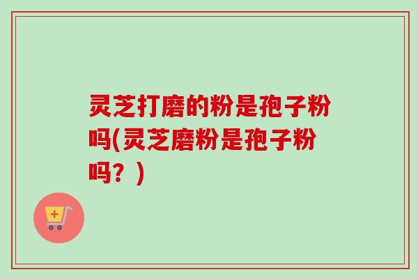 灵芝打磨的粉是孢子粉吗(灵芝磨粉是孢子粉吗？)