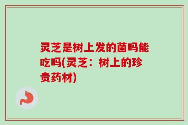 灵芝是树上发的菌吗能吃吗(灵芝：树上的珍贵药材)