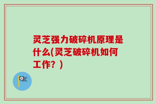 灵芝强力破碎机原理是什么(灵芝破碎机如何工作？)
