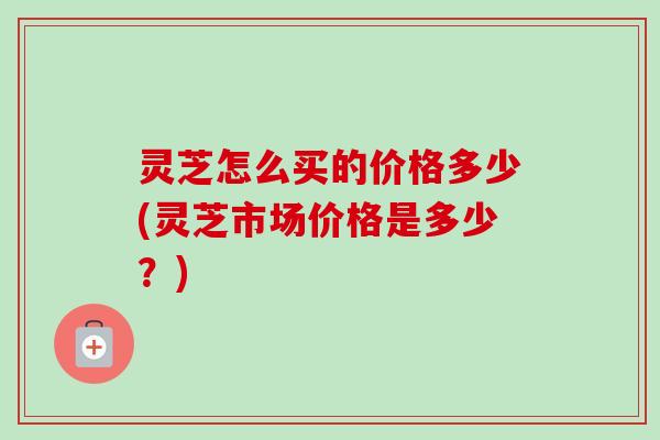 灵芝怎么买的价格多少(灵芝市场价格是多少？)
