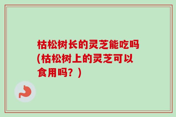 枯松树长的灵芝能吃吗(枯松树上的灵芝可以食用吗?) 枯松树长的灵芝能吃吗(枯松树上的灵芝可以食用吗?)