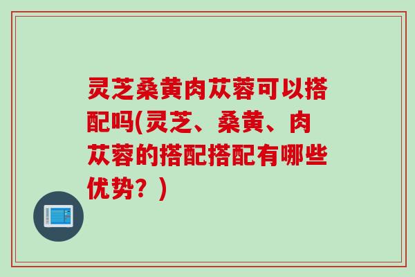 灵芝桑黄肉苁蓉可以搭配吗(灵芝、桑黄、肉苁蓉的搭配搭配有哪些优势？)