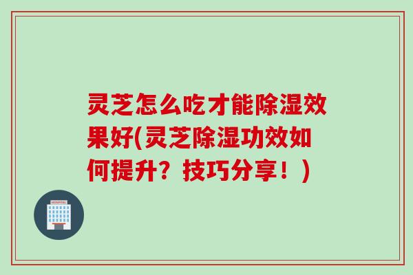 灵芝怎么吃才能除湿效果好(灵芝除湿功效如何提升？技巧分享！)