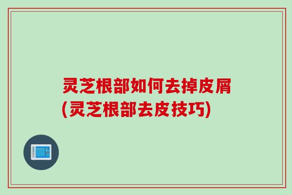 灵芝根部如何去掉皮屑(灵芝根部去皮技巧)