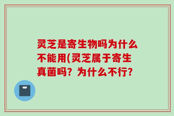 灵芝是寄生物吗为什么不能用(灵芝属于寄生真菌吗？为什么不行？