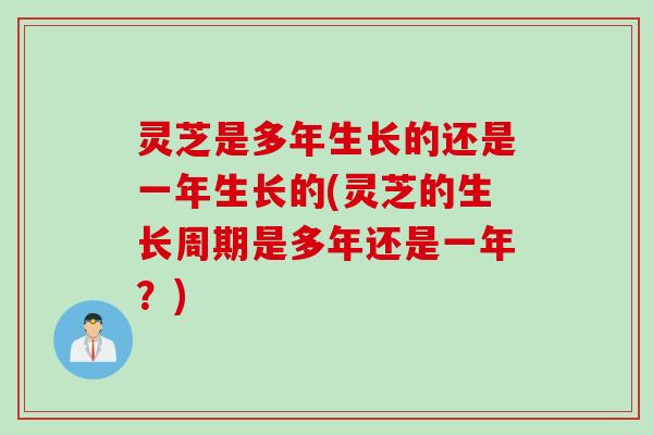 灵芝是多年生长的还是一年生长的(灵芝的生长周期是多年还是一年？)