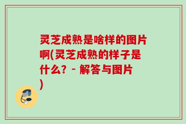 灵芝成熟是啥样的图片啊(灵芝成熟的样子是什么？- 解答与图片)