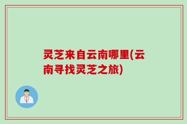 灵芝来自云南哪里(云南寻找灵芝之旅)