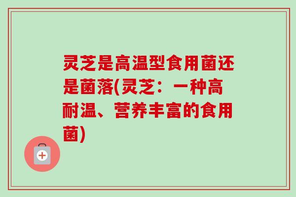 灵芝是高温型食用菌还是菌落(灵芝：一种高耐温、营养丰富的食用菌)