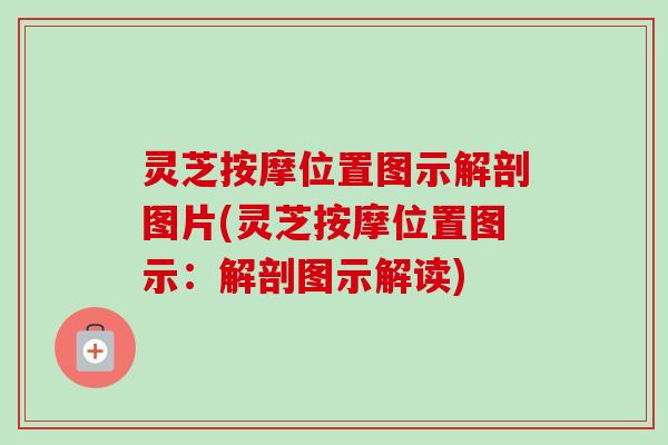 灵芝按摩位置图示解剖图片(灵芝按摩位置图示：解剖图示解读)