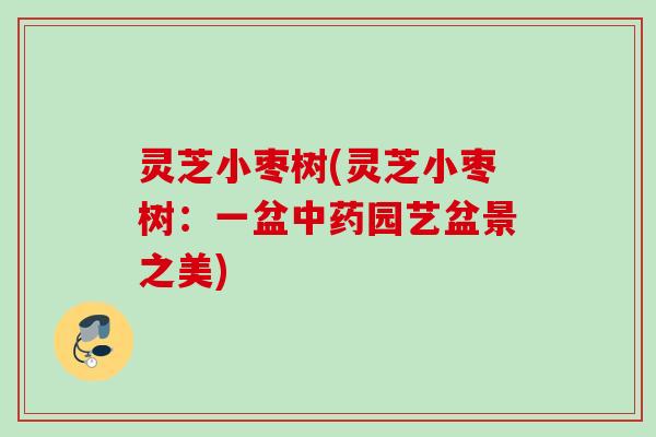 灵芝小枣树(灵芝小枣树：一盆中药园艺盆景之美)