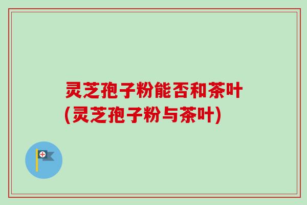 灵芝孢子粉能否和茶叶(灵芝孢子粉与茶叶)