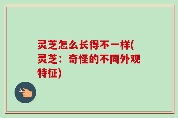 灵芝怎么长得不一样(灵芝：奇怪的不同外观特征)