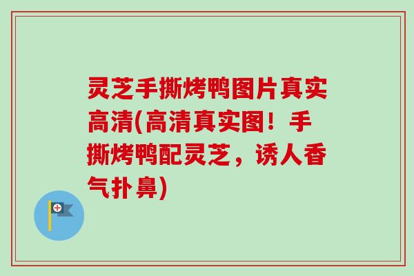 灵芝手撕烤鸭图片真实高清(高清真实图!手撕烤鸭配灵芝,诱人香气扑鼻) 灵芝手撕烤鸭图片真实高清(高清真实图!手撕烤鸭配灵芝,诱人香气扑鼻)