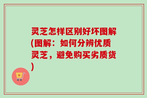 灵芝怎样区别好坏图解(图解：如何分辨优质灵芝，避免购买劣质货)