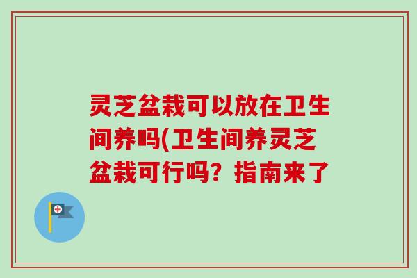 灵芝盆栽可以放在卫生间养吗(卫生间养灵芝盆栽可行吗？指南来了