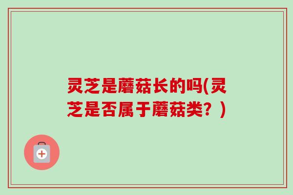 灵芝是蘑菇长的吗(灵芝是否属于蘑菇类？)