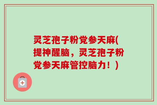 灵芝孢子粉党参天麻(提神醒脑，灵芝孢子粉党参天麻管控脑力！)