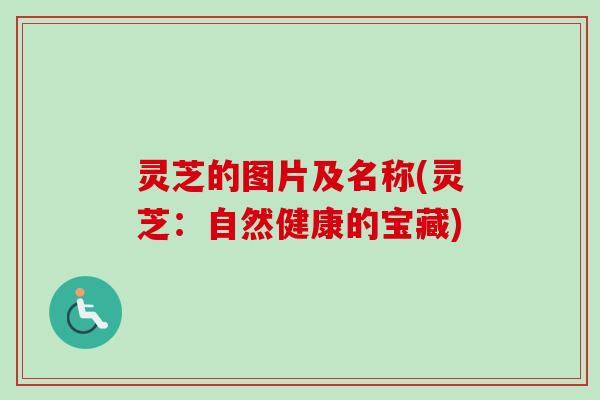 灵芝的图片及名称(灵芝：自然健康的宝藏)