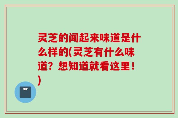 灵芝的闻起来味道是什么样的(灵芝有什么味道？想知道就看这里！)