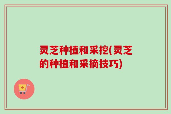 灵芝种植和采挖(灵芝的种植和采摘技巧)