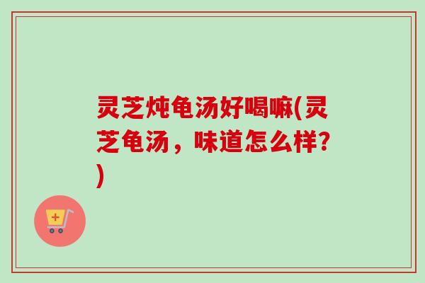 灵芝炖龟汤好喝嘛(灵芝龟汤，味道怎么样？)