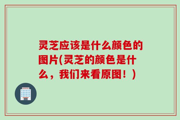 灵芝应该是什么颜色的图片(灵芝的颜色是什么，我们来看原图！)