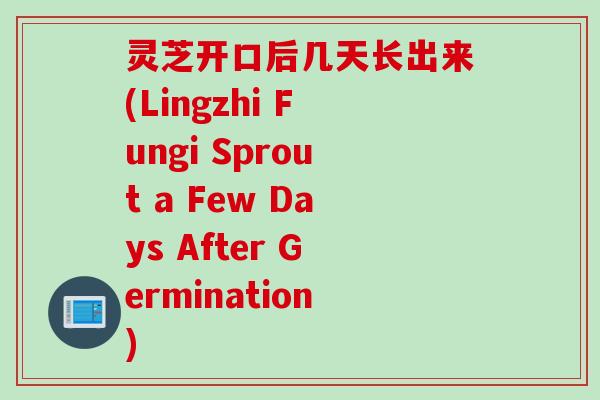 灵芝开口后几天长出来(Lingzhi Fungi Sprout a Few Days After Germination)