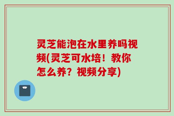 灵芝能泡在水里养吗视频(灵芝可水培！教你怎么养？视频分享)