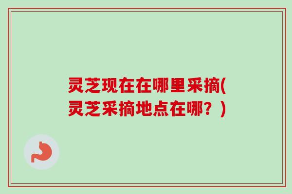 灵芝现在在哪里采摘(灵芝采摘地点在哪？)