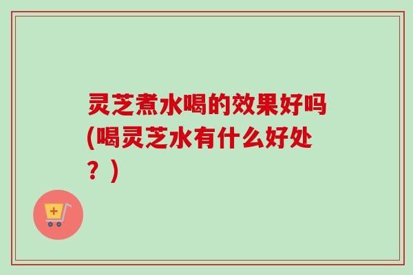 灵芝煮水喝的效果好吗(喝灵芝水有什么好处?) 灵芝煮水喝的效果好吗(喝灵芝水有什么好处?)