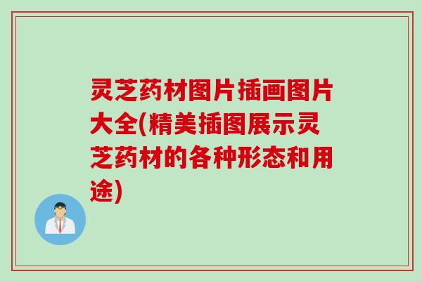 灵芝药材图片插画图片大全(精美插图展示灵芝药材的各种形态和用途)