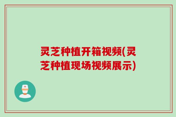 灵芝种植开箱视频(灵芝种植现场视频展示)
