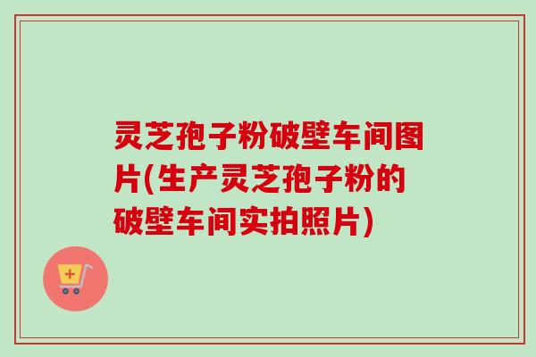 灵芝孢子粉破壁车间图片(生产灵芝孢子粉的破壁车间实拍照片)