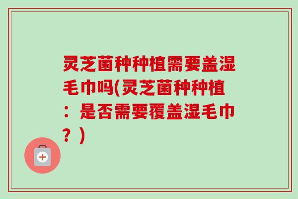 灵芝菌种种植需要盖湿毛巾吗(灵芝菌种种植：是否需要覆盖湿毛巾？)